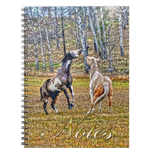 Zwei spielerische Pinto Paint Horses Equine Art De Notizblock (Vorderseite)