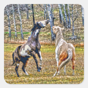 Zwei spielerische Pinto Paint Horses Equine Art De Quadratischer Aufkleber