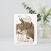 Zwei Standpunkte Postkarte (Stehend Vorderseite)