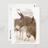 Zwei Standpunkte Postkarte (Vorne/Hinten)