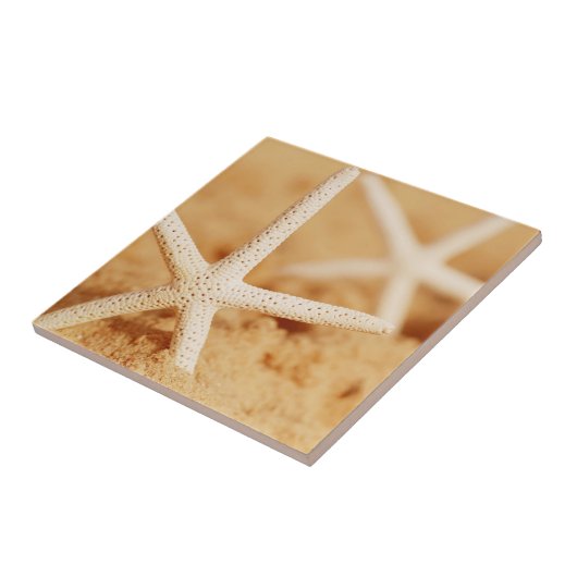Zwei Starfish Fliese (Seite)