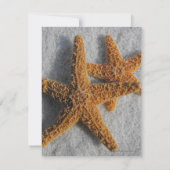 Zwei Starfish im Sand, Hochzeit am Strand Save The Date (Rückseite)