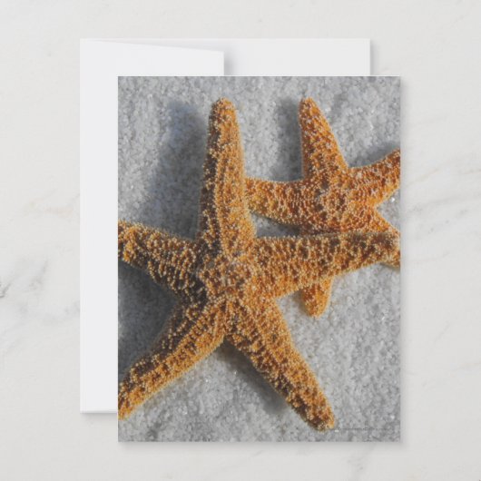 Zwei Starfish im Sand, Hochzeit am Strand Save The Date (Rückseite)