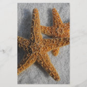 Zwei Starfish in Sand, Beach Flyer oder Programm (Hinten)