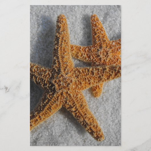 Zwei Starfish in Sand, Beach Flyer oder Programm (Hinten)