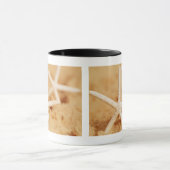 Zwei Starfish Tasse (Zentrum)