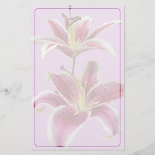 Zwei Stargazer-Lilien-Briefpapier Briefpapier (Vorderseite)