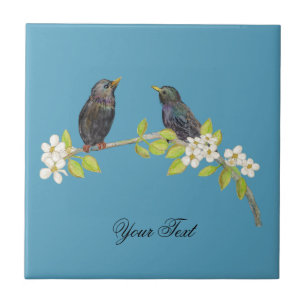 Zwei Starlings auf einem blühenden Zweig im Frühja Fliese