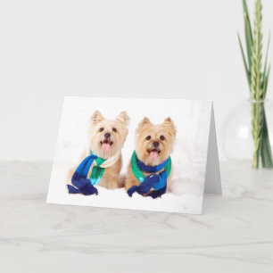 Zwei Steinhaufen-Terrier-Weihnachtskarte Feiertagskarte