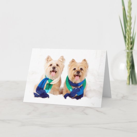 Zwei Steinhaufen-Terrier-Weihnachtskarte Feiertagskarte (Vorderseite)