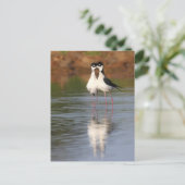 zwei Stile kuscheln Postkarte (Stehend Vorderseite)