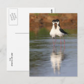 zwei Stile kuscheln Postkarte (Vorne/Hinten)