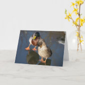 Zwei Stockenten-Enten-Gruß-Karte Karte (Gelbe Blume)