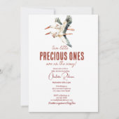 Zwei Storchen und zwei Babyduschen Einladung (Vorderseite)