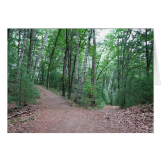 Zwei Straßen in einem gelben Holz