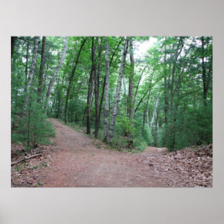 Zwei Straßen in einem gelben Holz Poster