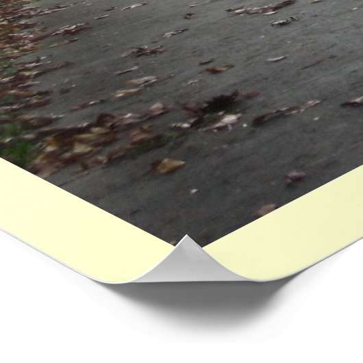 Zwei Straßen unterscheiden sich.... Poster (Ecke)