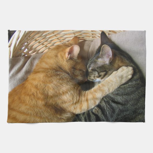 Zwei streichelnde Schlafentabby-Katzen Geschirrtuch (Horizontal)