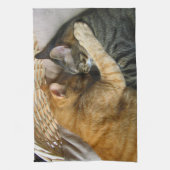 Zwei streichelnde Schlafentabby-Katzen Geschirrtuch (Vertikal)