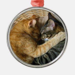 Zwei streichelnde Schlafentabby-Katzen Silbernes Ornament