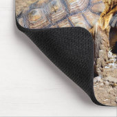 Zwei Sulcata-Schildkröten auf dem Boden Mousepad (Ecke)
