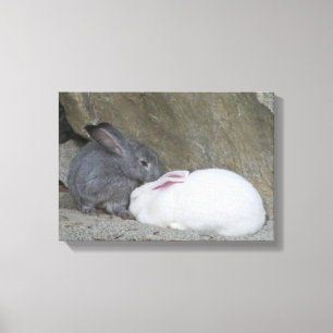 Zwei süße Hasenkaninchen Leinwanddruck