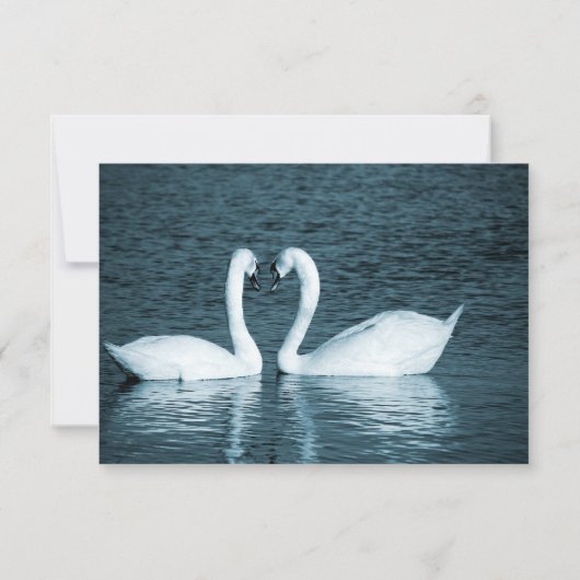 Zwei Swans Foto - 3x5 Hochzeitsankündigung Einladung (Rückseite)
