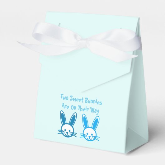 Zwei Sweet Bunnies Twin Boys Geschenkschachtel (Vorderseite)