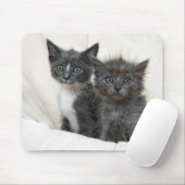 Zwei Tabby-Kätzchen Mousepad (Mit Mouse)