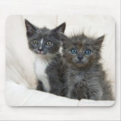 Zwei Tabby-Kätzchen Mousepad (Vorne)