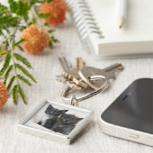 Zwei Tabbykätzchen Schlüsselanhänger (Seite)