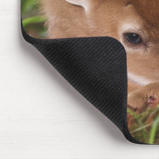 Zwei Tage alter Wildschwanz, Kentucky. Mousepad (Ecke)