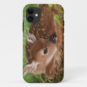Zwei Tage altes Weißwedelhirsch-Baby, Kentucky. Case-Mate iPhone Hülle