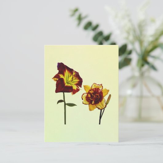 Zwei Taglilien mit Chat Postkarte (Stehend Vorderseite)