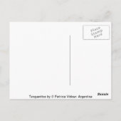 Zwei Tangueritos Tango Postkarte (Rückseite)