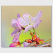 Zwei tapfere Sakura-Blume und farbenfroher Hinterg Geschenkpapier (Flach)