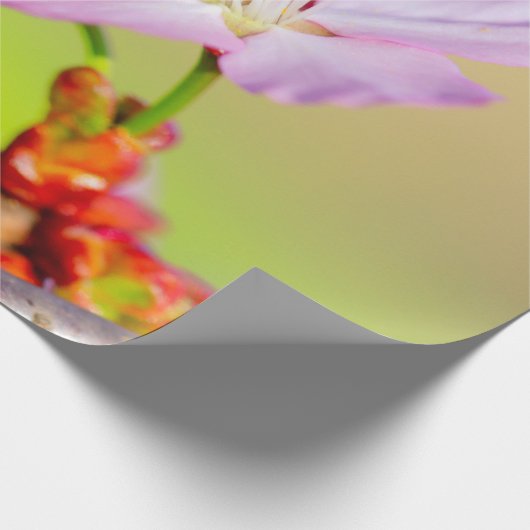 Zwei tapfere Sakura-Blume und farbenfroher Hinterg Geschenkpapier (Ecke)