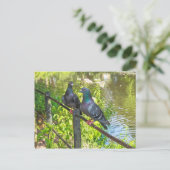 Zwei Tauben. Roath Park Lake, Cardiff, Wales Postkarte (Stehend Vorderseite)