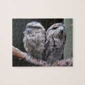 Zwei Tawny Frogmouth Birds Puzzle (Horizontal)