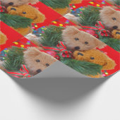 Zwei Teddybären mit Grün und Bogen Geschenkpapier (Ecke)