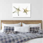 Zwei Thorny Starfish Leinwanddruck (Insitu (Schlafzimmer))