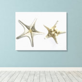 Zwei Thorny Starfish Leinwanddruck (Insitu (Holzboden))