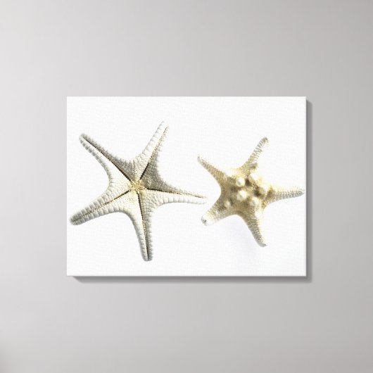 Zwei Thorny Starfish Leinwanddruck (Vorderseite)