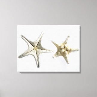 Zwei Thorny Starfish Leinwanddruck