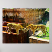 Zwei Tiger Poster (Vorne)