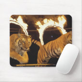 Zwei Tiger springen durch Flammenringe Mousepad (Mit Mouse)