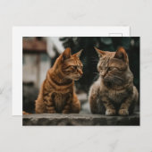Zwei Tom Cats reden über lustige Katze Postkarte (Vorne/Hinten)