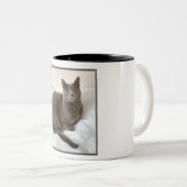 Zwei Ton Tasse, russische blaue Katze Zweifarbige Tasse (VorderseiteRechts)