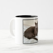 Zwei Ton Tasse, russische blaue Katze Zweifarbige Tasse (Vorderseite Links)
