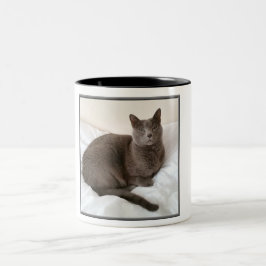 Zwei Ton Tasse, russische blaue Katze Zweifarbige Tasse